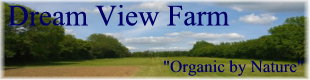 Dream View Farm